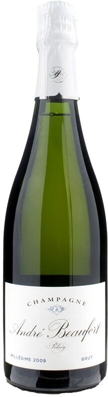 Andre Beaufort Champagne Polisy Blanc De Noirs Brut Millesime 2009