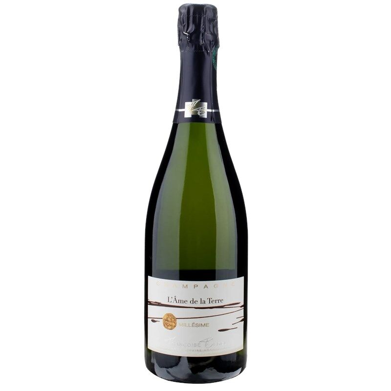 Francoise Bedel Champagne L’ame De La Terre Extra Dry 2008