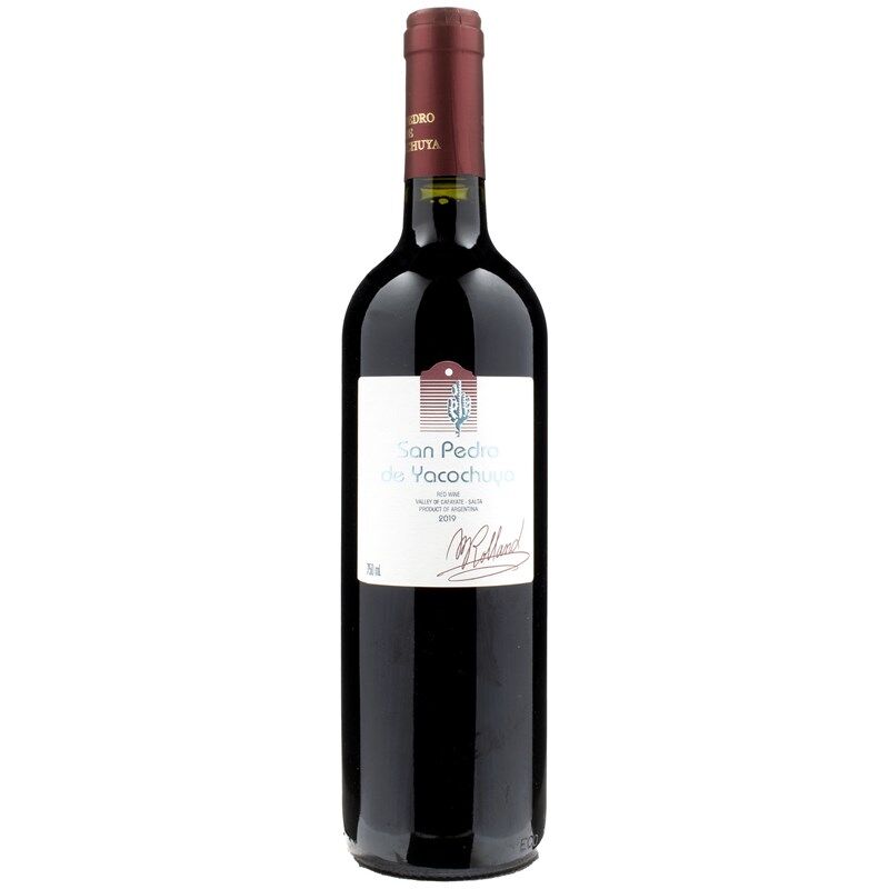 Michel Rolland Collection San Pedro de Yacochuya Tinto 2019