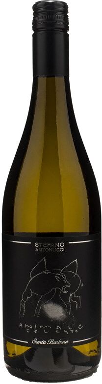 Santa Barbara Animale Celeste Sauvignon 2022