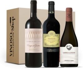 3 BOTTIGLIE DI ROSSO ITALIANO Bolgheri-Valpolicella-Sardegna