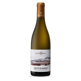 Edouard Delaunay Bourgogne Aoc Septembre Chardonnay 2022