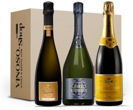 3 BOTTIGLIE DI BOLLICINE FRANCESI Bollicine Brut