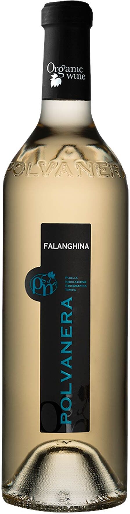 Polvanera Puglia Falanghina Igt 2023