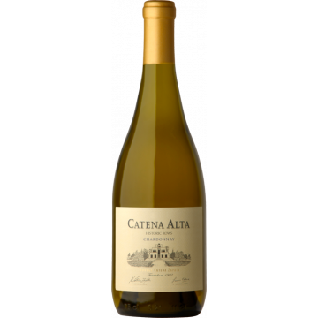 Catena Zapata Alta Chardonnay 2020 - Bodega Y Vinedos Catena