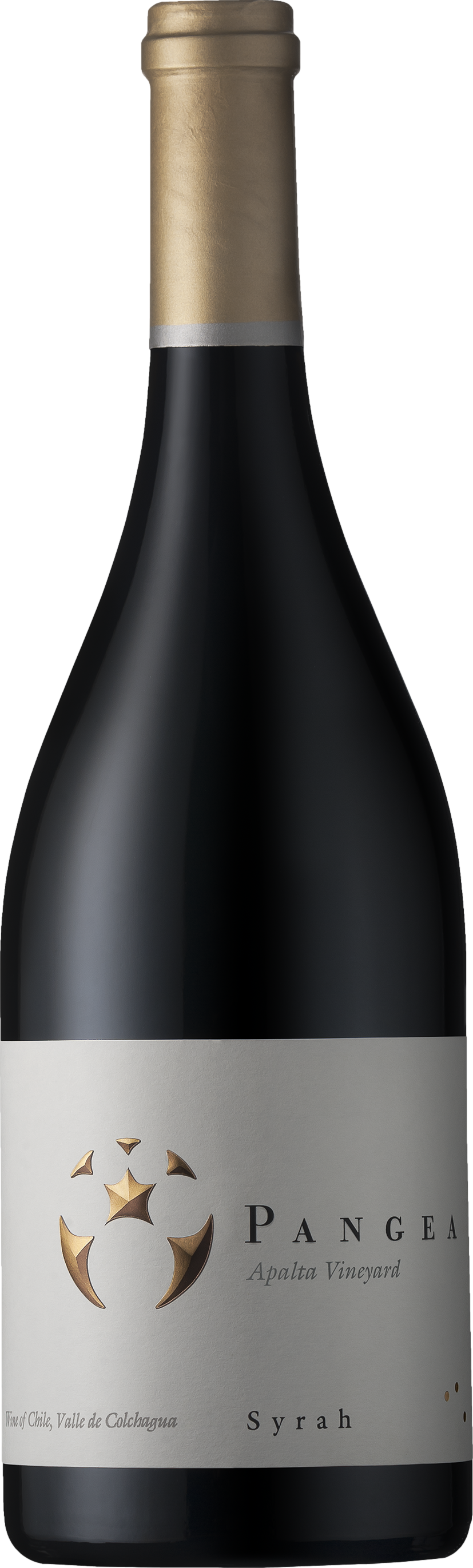 Ventisquero Pangea Syrah 2014