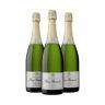 Champagne Pierre Bertrand Pierre Bertrand Premier Cru Brut (x3)