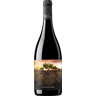 Proyecto Garnachas Garnacha Olvidada de Aragón 2021