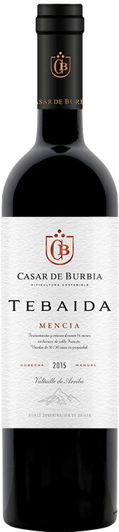 Casar de Burbia Tebaida 2015