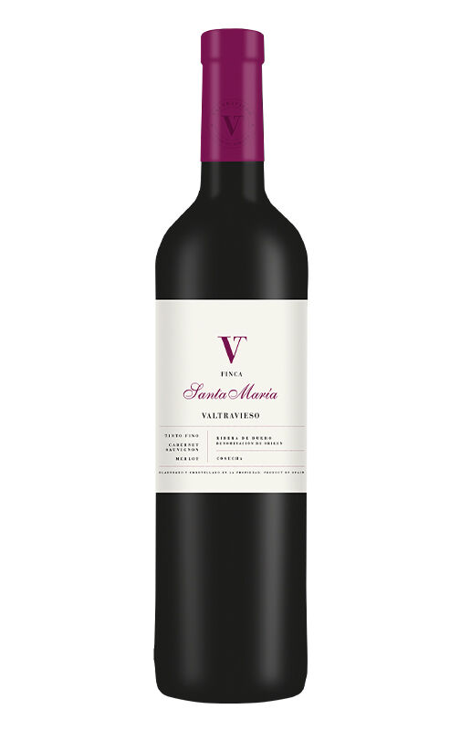 Valtravieso Bodegas y Viñedos Valtravieso Finca Santa María 2020