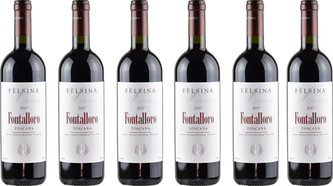 8Wines.com Felsina Fontalloro 2017 6 Bottle Case