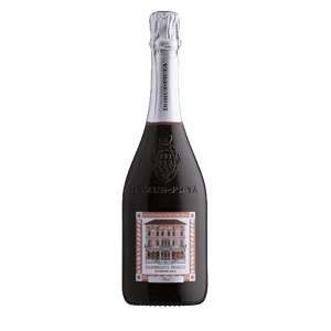 Domus Picta Prosecco Superiore Brut DOCG - Country: Italy - Capacity: 0.75