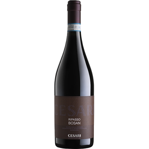 Cesari Valpolicella Ripasso DOC Superiore 