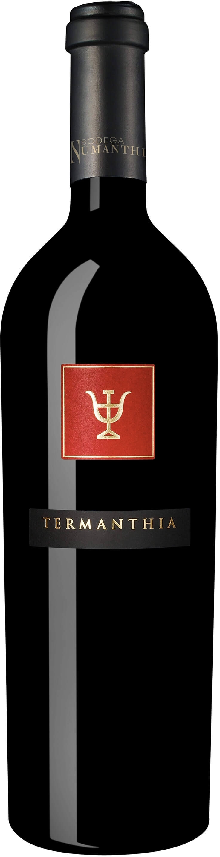 Bodega Numanthia - Toro Termanthia 2013