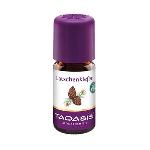 Taoasis Latschenkieferöl Bio 5 Milliliter