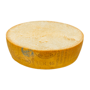 Parmigiano Reggiano 24 Monate - Ein Halbes Rad Käse   19kg Min   Caseificio Fienilnuovo