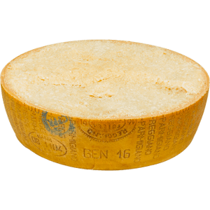 Parmigiano Reggiano 18 Monate - Ein Halbes Rad Käse   20kg Min   Caseificio Saliceto