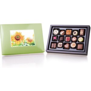 Chocolissimo Postcard Midi Green Ohne Alkohol