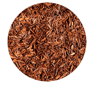 Rooibos Vanille bio  Kusmi Tea