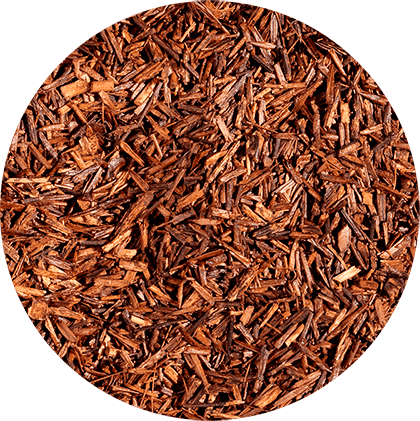 Rooibos Vanille bio  Kusmi Tea