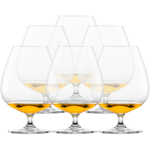 Schott Zwiesel Copas Bar Special Cognac XXL (x6)