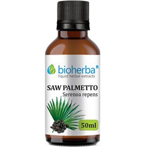 Bioherba Palma arbustiva Palmeto – tintura, 50 ml