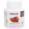 HAWLIK Extracto de Auricularia 60caps