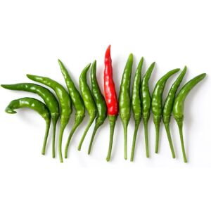 Asiamarche france Piments Thaïs prik kee noo 100g