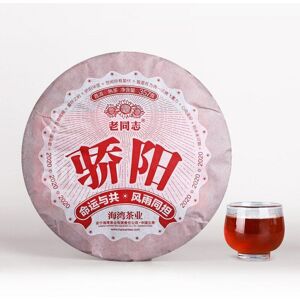 Thé chinois Puerh mûr «Jiao Yang» Shu Puer, Haiwan Blazing Sun, 2020g, 357