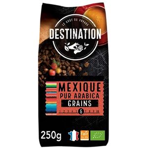 destination premium Destination Café Bio en grains Mexique Chiapas 250 g Lot de 2 - Publicité