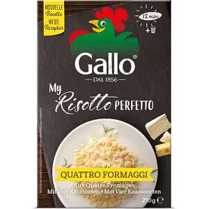 Riso Gallo Risotto Pronto aux Quatre Fromages 210 g Lot de 3 - Publicité