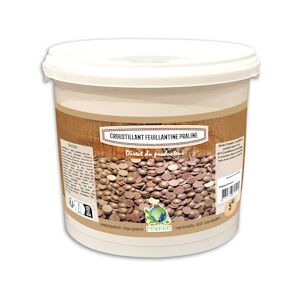 PREFOR Croustillant feuillantine praline lait seau 5kg