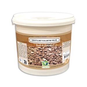 PREFOR Croustillant feuillantine Praline lait seau 1kg