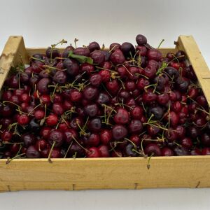 Cerise - 1kg - En direct de Le Panier du Producteur (Alpes-Maritimes)