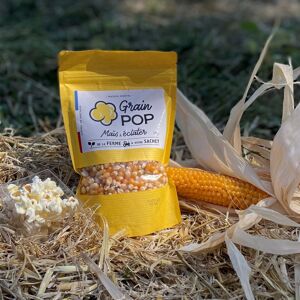 Maïs Popcorn Nature vrac - 10 sachets de 300g - En direct de Grain Pop