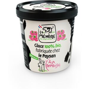 Glace au coulis de framboise 100% bio 500ml - En direct de Les Glaces du Semnon - La Memere (Ille-et-Vilaine)