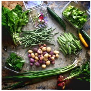 Panier de Mini Legumes Gastronomiques - En direct de La Ferme d'Artaud (Loire-Atlantique)