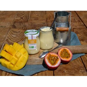 Yaourt brasse BIO - Mangue passion 140g - En direct de La Ferme des Delices (Ille-et-Vilaine)