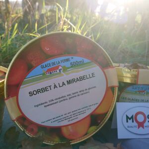 Sorbet Mirabelle - En direct de Les Glaces de la Promesse (Moselle)