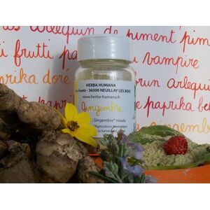 Gingembre 25g - En direct de HERBA HUMANA (Indre)