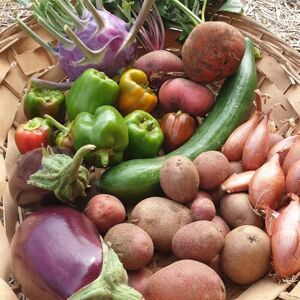 PANIER LEGUMES BIO-4 personnes - En direct de La Ferme de Milly - Anjou (Maine-et-Loire)