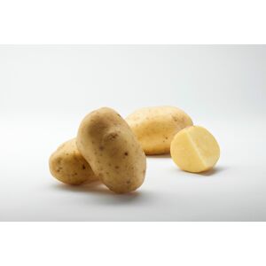 Pommes De Terre Agria - 5kg - En direct de Maison Bayard (Somme)