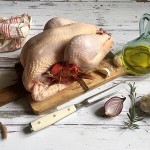 Colis piou piou 100% poulet : 2 poulets, 1 kg de filets, 1kg de cuisses, 2 mousses, 2 terrines - En direct de Les poulets de la Marquise