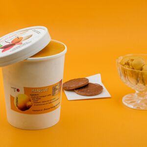 Sorbet Mangue Alfonso-1 litre - En direct de Le Jardinier Glacier (Saône-et-Loire)