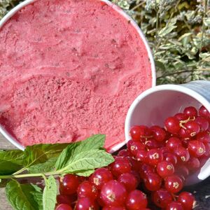 Sorbet Groseille Menthee BIO 1 litre - En direct de O Maribelle (Meurthe-et-Moselle)