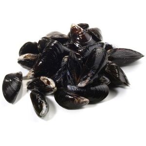 Moules De Bouchot - Lot De 4 Kg - En direct de Ma poissonniere (Doubs)