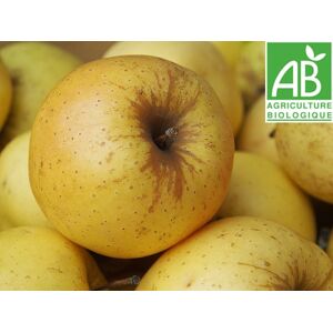 Pomme Golden Bio - 3 Kg - En direct de Mon Petit Producteur (Loire-Atlantique) - Publicité