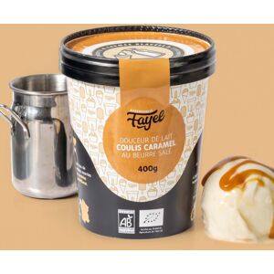 Creme Glacee Douceur de lait coulis caramel au beurre sale   - 100% Bio 500ml - En direct de Mademoiselle Fayel (Ille-et-Vilaine)