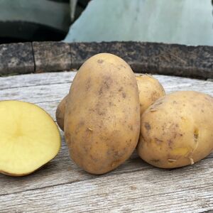 Pomme de terre primeur  Anaïs Bio - 1kg - En direct de La Boite a Herbes (Bouches du Rhône)