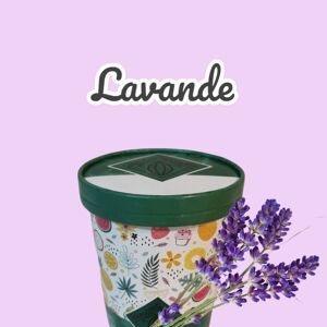 Creme glacee Lavande - En direct de Chaloin Chocolats (Vaucluse)